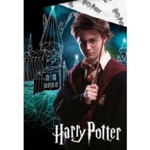 Bavlně povlečení Harry Potter Kouzelné Bradavice